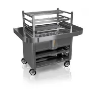 Gratar Robata pentru gust autentic si gatit perfect - R90ST_crome